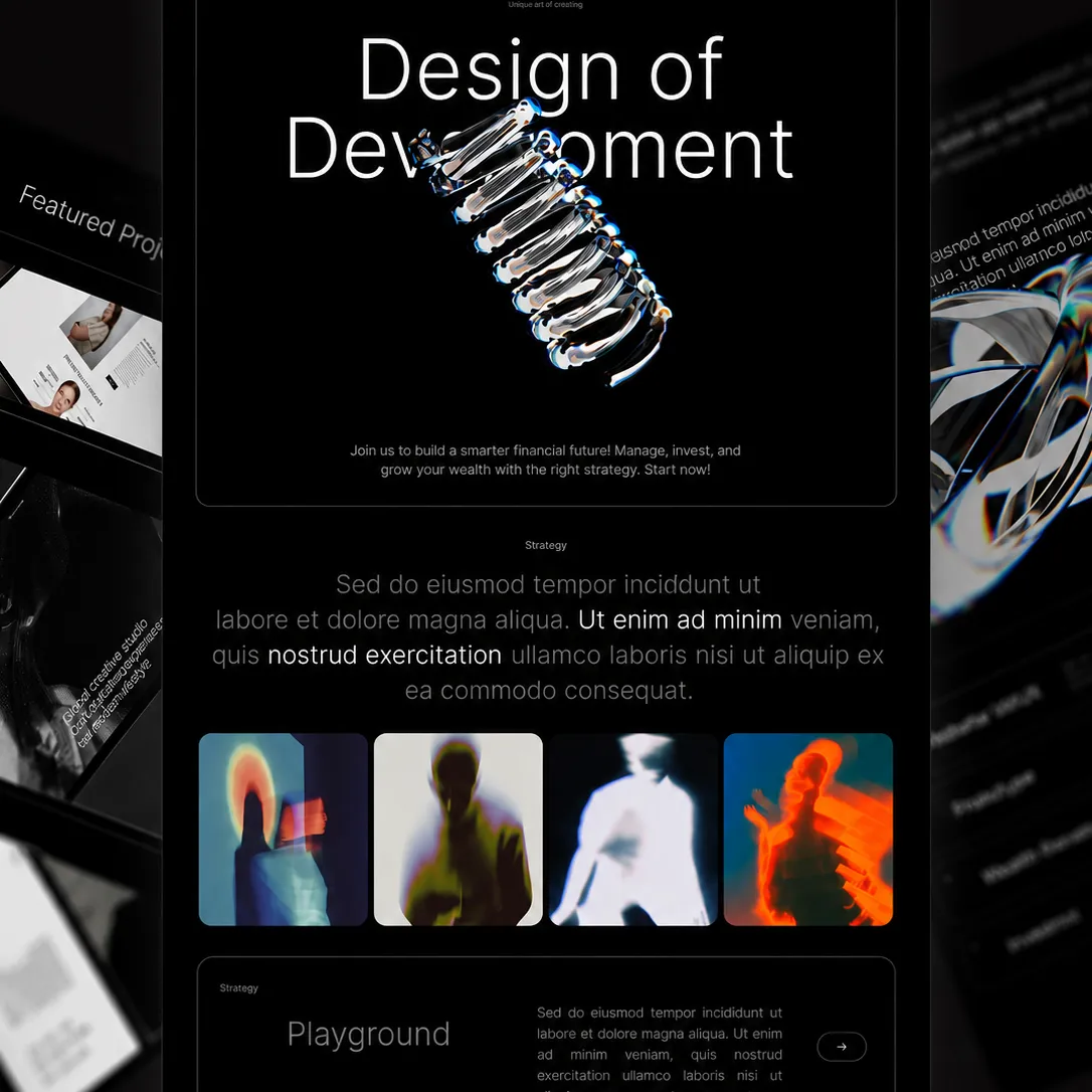 Portfolio item 1